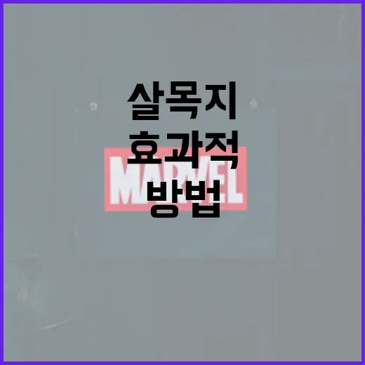 살목지를 효과적으로 사용하는 방법 - 요약