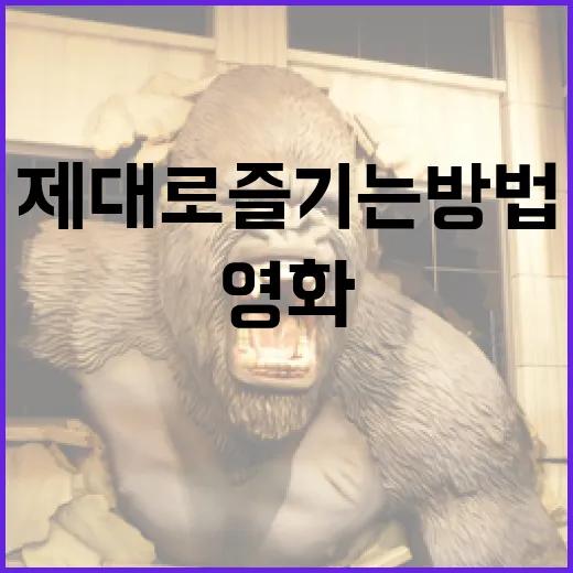 램 영화를 제대로 즐기는 방법 - 요약