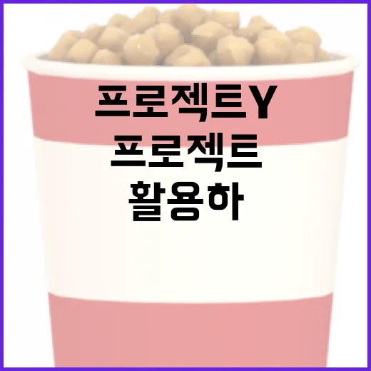 프로젝트 Y를 이해하고 활용하는 방법 - 요약