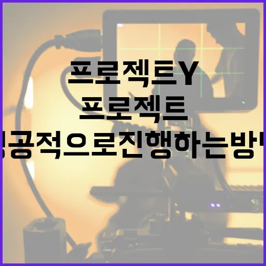 프로젝트Y를 성공적으로 진행하는 방법 - 요약