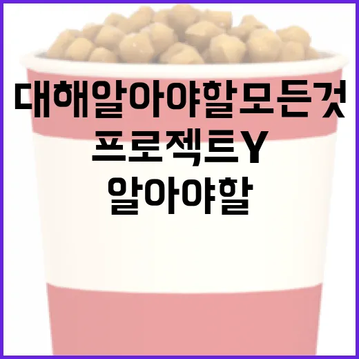 프로젝트 Y에 대해 알아야 할 모든 것 - 요약