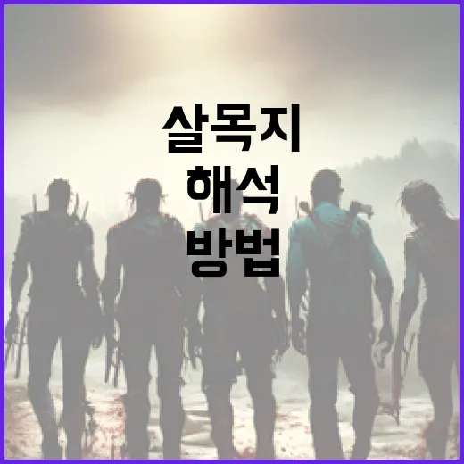살목지를 효과적으로 해석하는 방법 - 요약