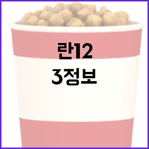 란 12 3 정보를 이해하는 방법 - 요약