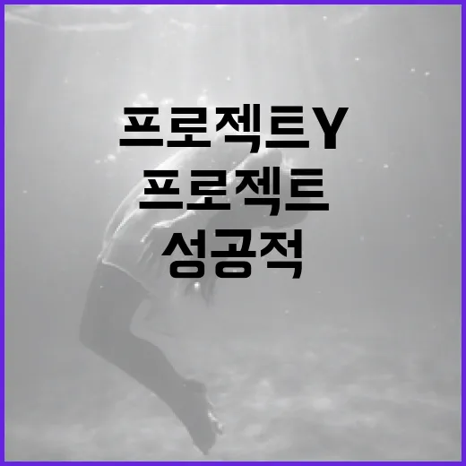 프로젝트Y를 성공적으로 관리하는 방법 - 요약