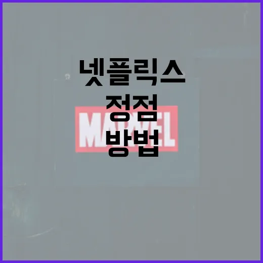 넷플릭스 정점을 경험하는 방법 - 요약