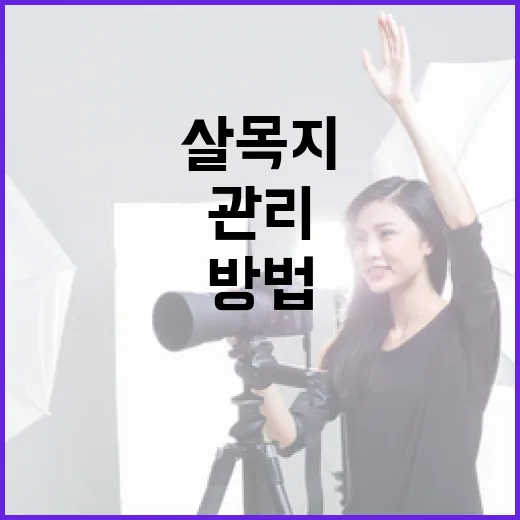 살목지를 효과적으로 관리하는 방법 - 요약