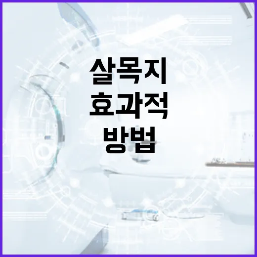 살목지를 효과적으로 사용하는 방법과 후기 - 요약