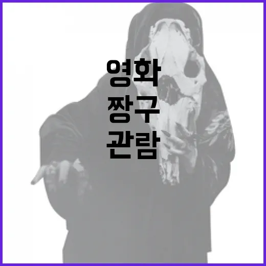 짱구 영화 관람을 제대로 즐기는 방법 - 요약