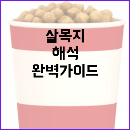 살목지 해석을 위한 완벽 가이드 - 요약
