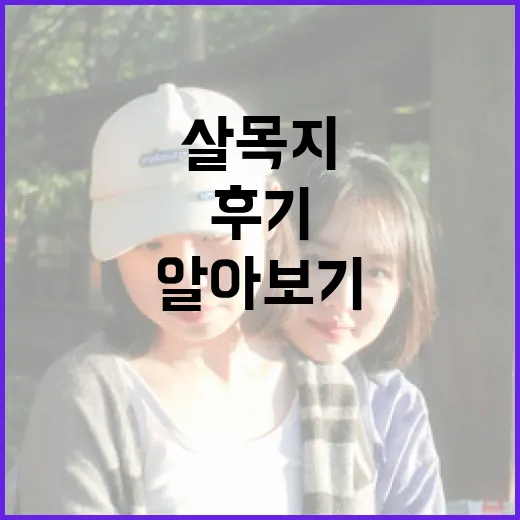 살목지를 사용하는 방법과 후기 알아보기 - 요약