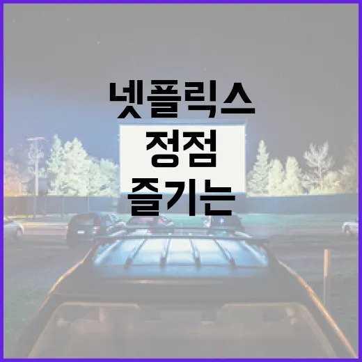 넷플릭스를 정점에서 즐기는 방법 - 요약