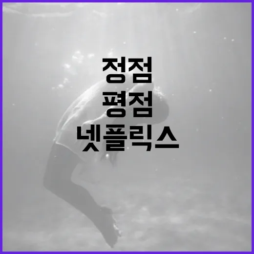 넷플릭스 정점 평점을 확인하는 방법 - 요약
