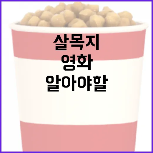 영화 살목지에 대해 알아야 할 모든 것 - 요약