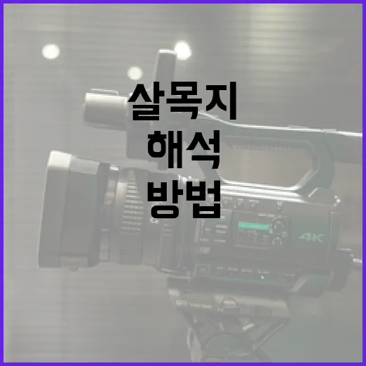 살목지를 효과적으로 해석하는 방법 - 요약
