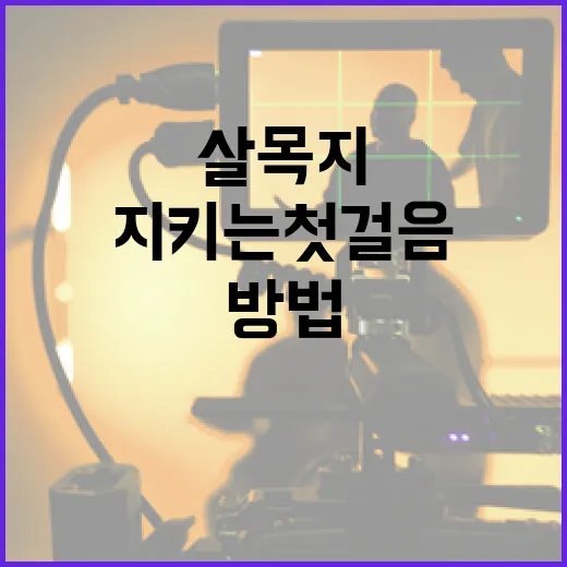 살목지를 만드는 방법: 자연을 지키는 첫걸음 - 요약