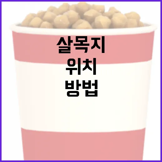살목지 위치를 찾는 방법 - 요약