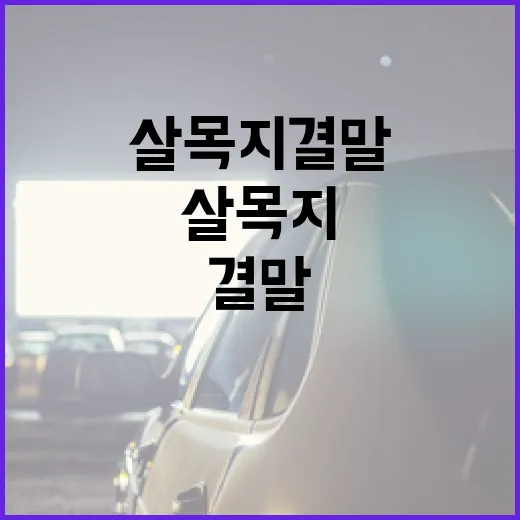살목지 결말을 이해하는 방법 - 요약