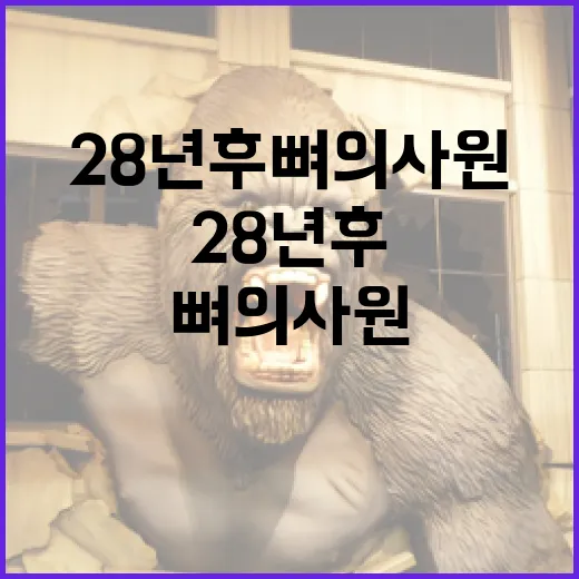 28년후 뼈의사원을 방문하는 방법 - 요약