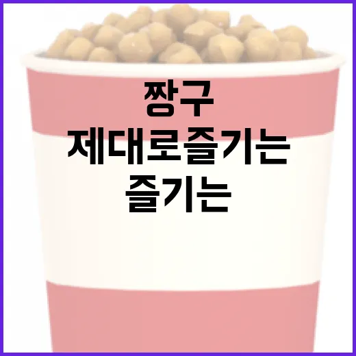 짱구 영화 제대로 즐기는 방법 - 요약