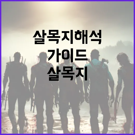 살목지 해석하는 방법: 초보자를 위한 가이드 - 요약