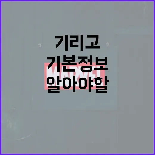 기리고에 대해 알아야 할 기본 정보 - 요약