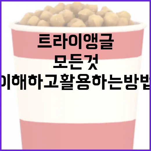 트라이앵글의 모든 것: 이해하고 활용하는 방법 - 요약