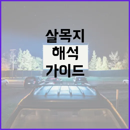 살목지를 해석하는 방법: 초보자를 위한 가이드 - 요약