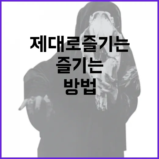 루체비노를 제대로 즐기는 방법 - 요약