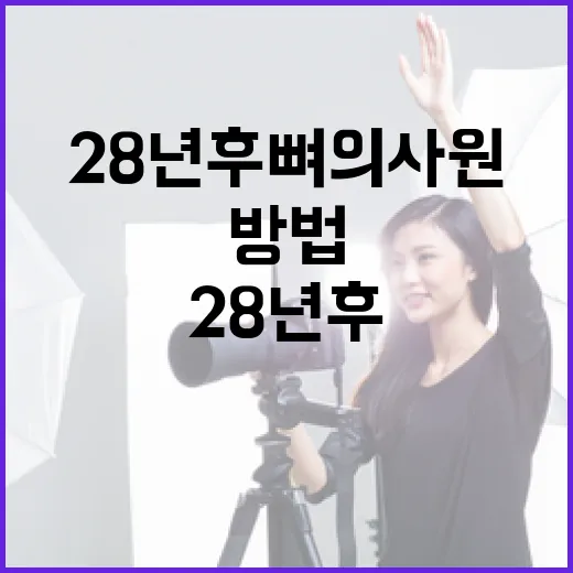 28년후 뼈의사원을 방문하는 방법과 팁 - 요약