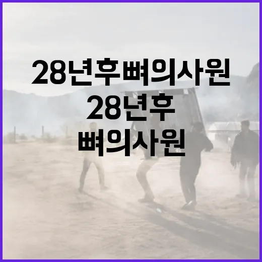 28년 후 뼈의사원을 방문하는 방법 - 요약