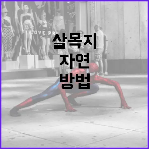 살목지를 활용하여 자연을 지키는 방법 - 요약