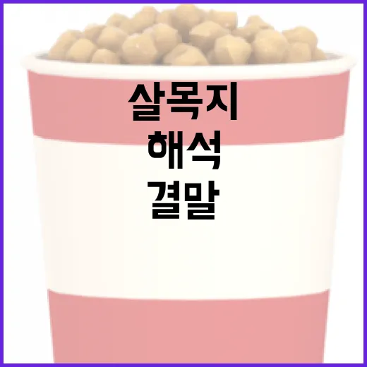 살목지 결말을 해석하는 방법 - 요약