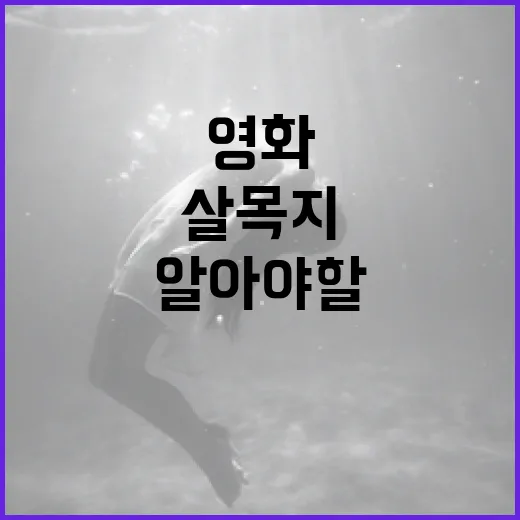 영화 '살목지'에 대해 알아야 할 모든 것 - 요약