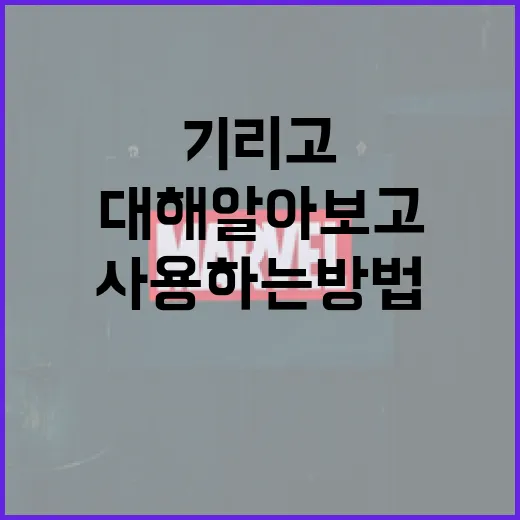 기리고에 대해 알아보고 사용하는 방법 - 요약