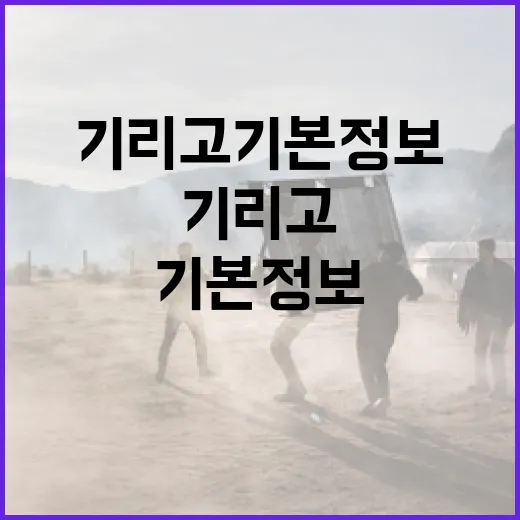 기리고 기본정보 알아보는 방법 - 요약