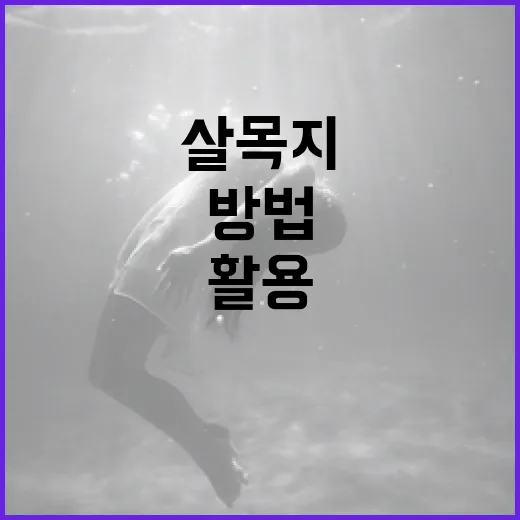 살목지를 활용하여 자연과 가까워지는 방법 - 요약