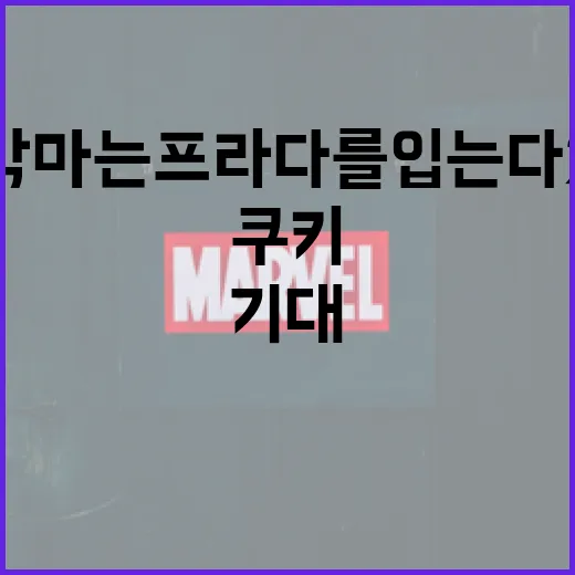 악마는 프라다를 입는다 2를 기대하며 쿠키로 즐기는 방법 - 요약