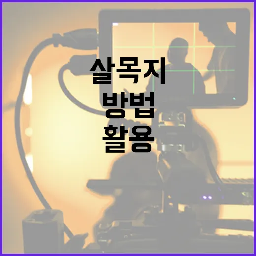 살목지를 활용하여 자연과 함께하는 방법 - 요약