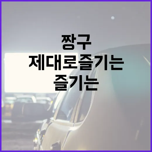 짱구 영화를 제대로 즐기는 방법 - 요약