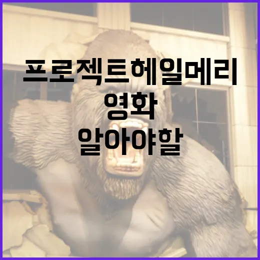 영화 