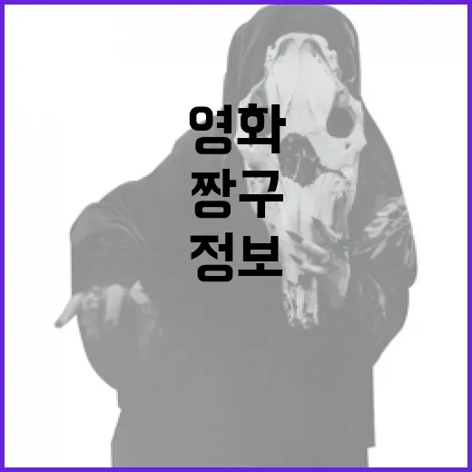 짱구 영화 정보를 알아보는 방법 - 요약