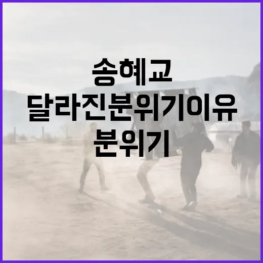 송혜교의 달라진 분위기 이유를 알아보는 방법 - 요약