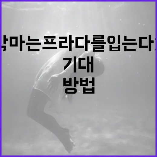 악마는 프라다를 입는다 2를 기대하는 방법 - 요약