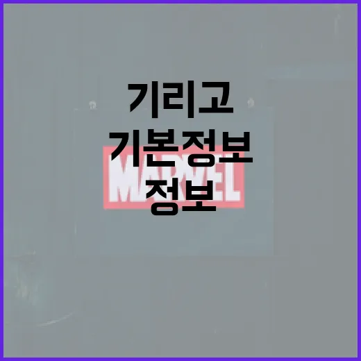 기리고의 기본정보 이해하기 - 요약