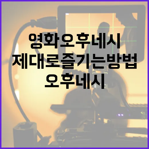 영화 오후 네시를 제대로 즐기는 방법 - 요약