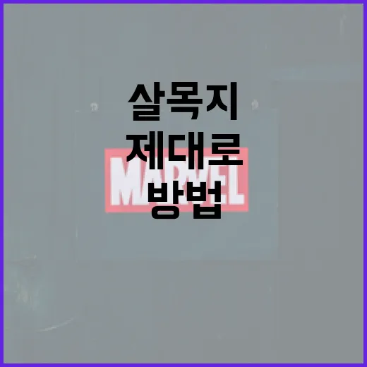 살목지를 제대로 이…