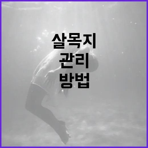 살목지를 효과적으로 관리하는 방법 - 요약
