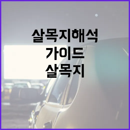 살목지 해석을 위한 단계별 가이드 - 요약