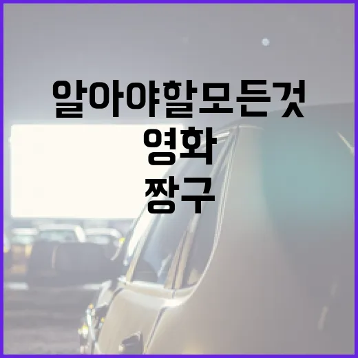 짱구 영화에 대해 알아야 할 모든 것 - 요약