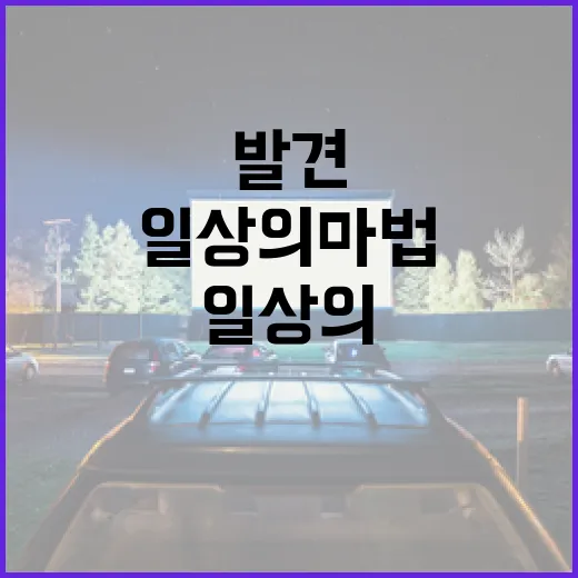 일상의 마법을 발견하는 방법 - 요약